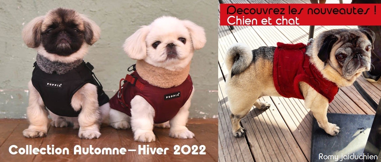 Accessoires pour chien - Nouvelle collection Automne-Hiver 2022